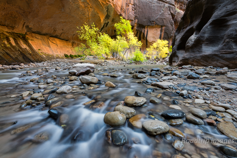 The Narrows in Zion NP