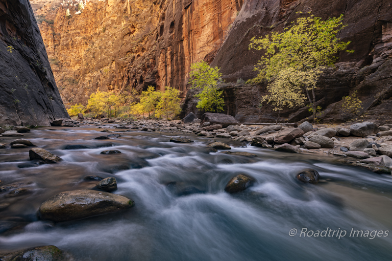 The Virgin Narrows in Zion NP