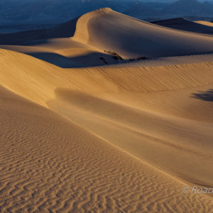 Sunrise at Mesquite Dunes