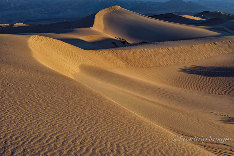 Sunrise at Mesquite Dunes
