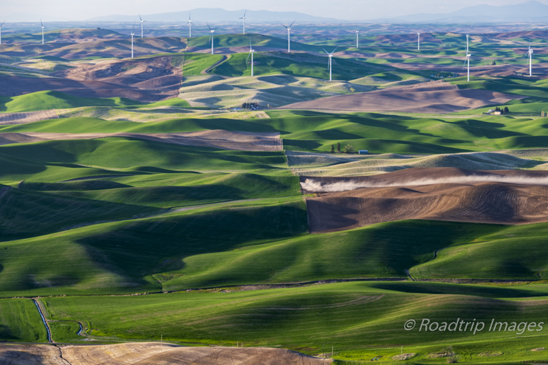 Palouse field and wind turbines